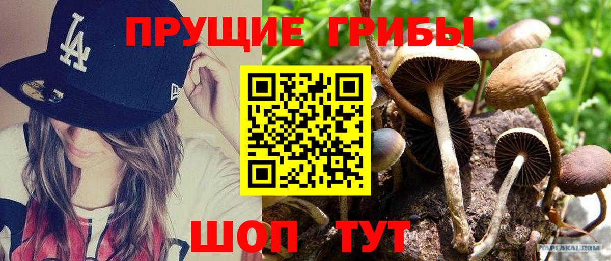 Галлюциногенные грибы MAGIC MUSHROOMS Пыть-Ях